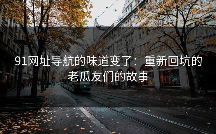 91网址导航的味道变了：重新回坑的老瓜友们的故事