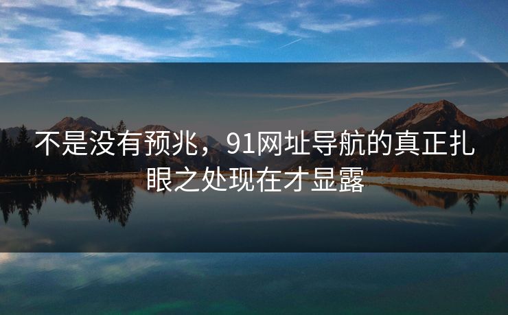 不是没有预兆，91网址导航的真正扎眼之处现在才显露