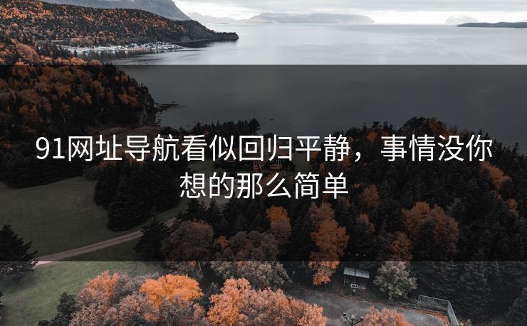 91网址导航看似回归平静，事情没你想的那么简单