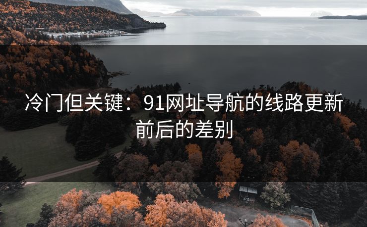 冷门但关键：91网址导航的线路更新前后的差别
