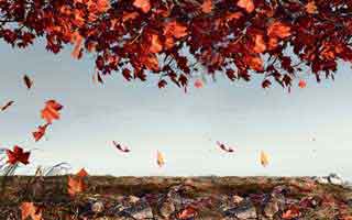 91大事件近日突然真把人看沉默了：背后的故事与反思