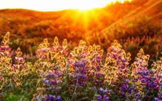 冷门但关键：91大事件线路的一次小范围改版后的连锁反应