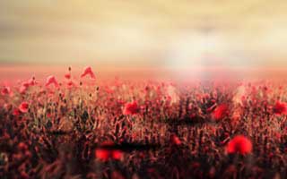 91网浏览器再现：越翻越像，后手策略引爆用户热潮