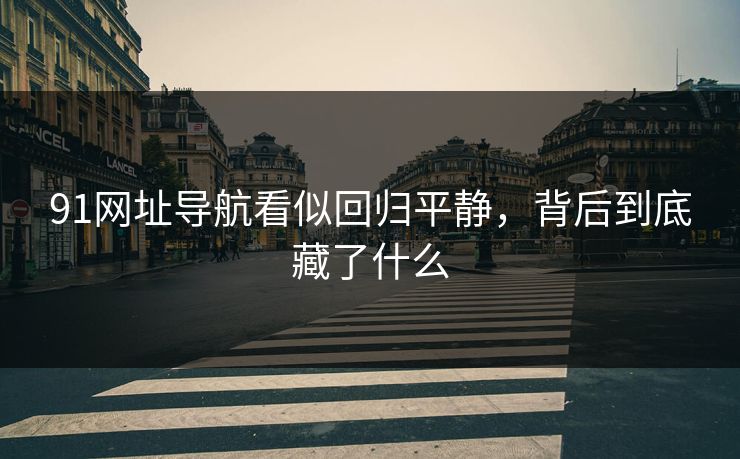 91网址导航看似回归平静，背后到底藏了什么
