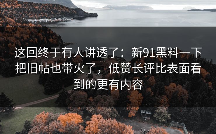 这回终于有人讲透了：新91黑料一下把旧帖也带火了，低赞长评比表面看到的更有内容